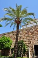 Andalusien (88)
