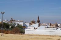 Blick über Carmona
