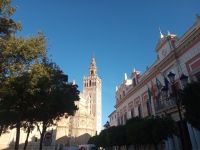 Blick auf Giralda 