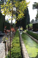 Blick in die herrlichen Gartenanlagen des Generalifes