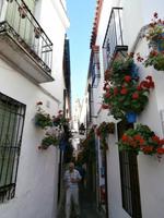 Blumengasse Cordoba