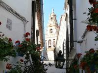 Blumengasse Cordoba