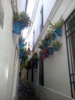 Blumengasse in Córdoba
