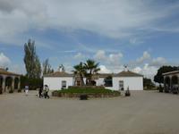 Bodega Regantio