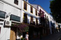 Bouganville