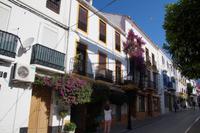 Bouganville