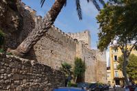 Burg von Marbella