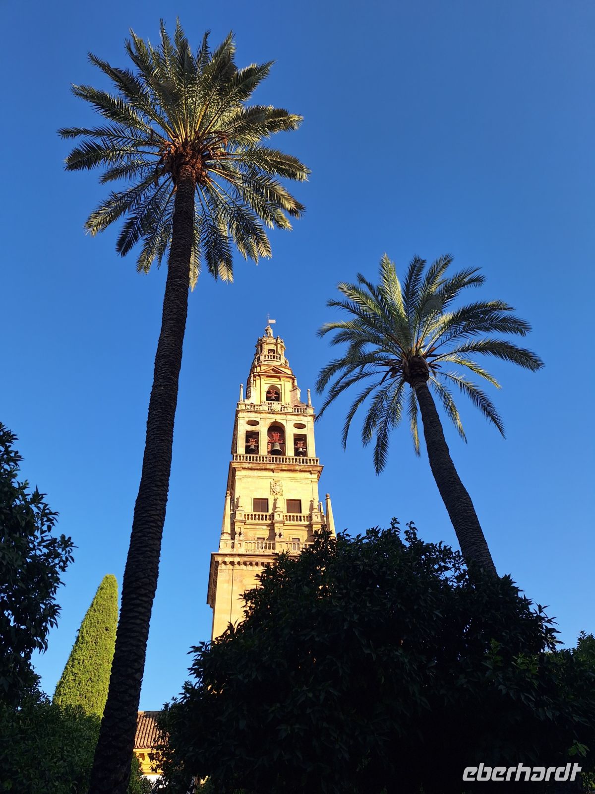 Córdoba