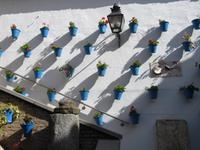 Córdoba
