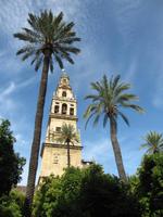 Córdoba