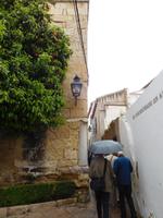 Córdoba16