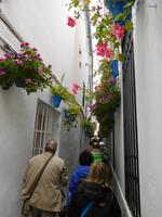 Córdoba18