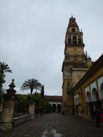 Córdoba20