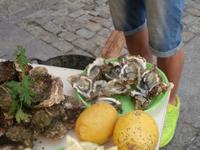 Cadiz Austern