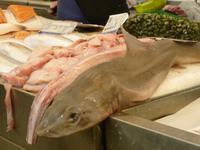 Cadiz Markthalle