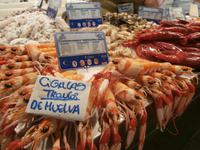 Cadiz-Markthalle
