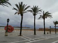 Cadiz