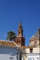 Carmona 
