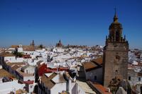 Carmona 