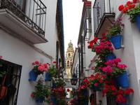 Cordoba (17)