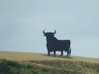 Cordoba (52)