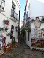 Cordoba Blumengasse
