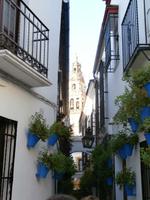 Cordoba Blumengasse