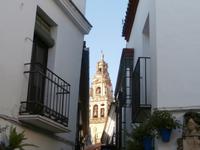 Cordoba Blumengasse