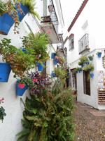 Cordoba-Blumengasse