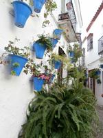 Cordoba-Blumengasse