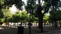 Cordoba