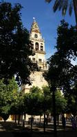 Cordoba