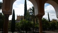 Cordoba