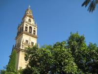 Cordoba