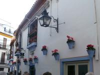 Cordoba