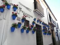 Cordoba