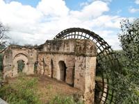 Cordoba