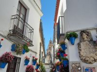 Cordoba