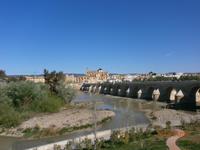 Cordoba