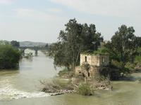 Cordoba