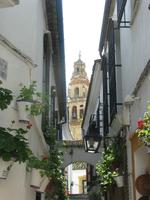 Cordoba
