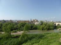 Cordoba