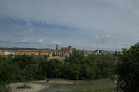 Cordoba