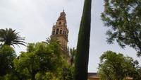 Cordoba43