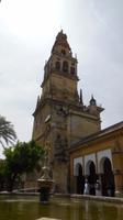 Cordoba44