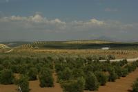 Cordoba_Provinz_Landschaft (5)