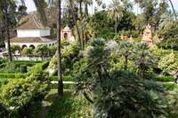 Die Gärten des Alcázar Real