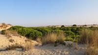 Doñana (13)