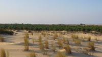 Doñana (25)