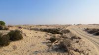 Doñana (29)